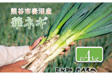 熊谷市産　はなを肥料に作られた循環保全循環型農業から作られた華ネギ(めぬまネギ)　※11月から発送