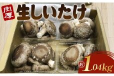 No.004 行田産こだわり生椎茸　約1.04kg ／ きのこ しいたけ シイタケ 埼玉県