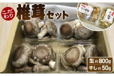 No.005 行田産こだわり椎茸セット（生椎茸・干し椎茸） ／ きのこ しいたけ シイタケ 埼玉県