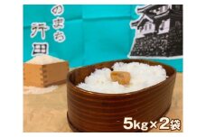 No.049 行田のお米　忍城献上米10kg［むかさ商店］ ／ 精米 白米 埼玉県