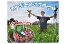 No.063 収穫野菜のお土産付き！東京近郊の畑で無農薬野菜の収穫体験（1組分） ／ 体験チケット 農業体験 埼玉県
