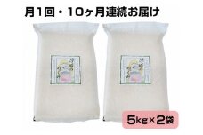 No.111 【10kg・10ヶ月連続お届け】行田のお米　忍城献上米［むかさ商店］ ／ 精米 白米 定期便 埼玉県