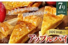 No.144 国産林檎のアップルパイ800g ／ 焼菓子 りんご スイーツ おやつ 埼玉県