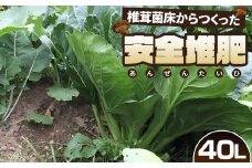 No.164 椎茸菌床からつくった安全堆肥　40L ／ 肥料 土壌改良 園芸 ガーデニング用品 埼玉県