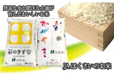 No.295 行田市産「彩のかがやき」「彩のきずな」　精米10kg（各5kg） ／ お米 白米 ごはん 埼玉県 特産品