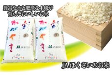 No.296 行田市産「彩のかがやき」精米10kg（5kg×2） ／ お米 白米 ごはん 埼玉県 特産品