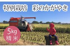 No.301 特別栽培　彩のかがやき　精米５kg ／ お米  白米 埼玉県 特産品
