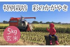 No.302 特別栽培　彩のかがやき　玄米５kg ／ お米  げん米 埼玉県 特産品