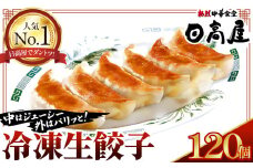 No.308 日高屋 冷凍生餃子 【120個】 ／ ぎょうざ ギョーザ ジューシー 埼玉県
