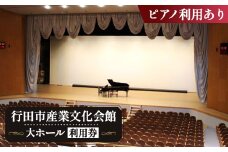 No.313 行田市産業文化会館　大ホールをひとりじめ！（ピアノ利用あり） ／ 練習 体験 チケット 音楽 ダンス 舞台 埼玉県