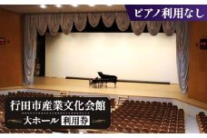 No.314 行田市産業文化会館　大ホールをひとりじめ！（ピアノ利用なし） ／ 練習 体験 チケット 音楽 ダンス 舞台 埼玉県