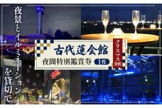 No.339 古代蓮会館・夜間特別鑑賞券（プレミアム）～夜景とイルミを貸切で！～ ／ チケット クリスマス 見学 埼玉県