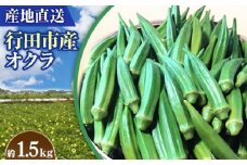 No.396 【産地直送】行田市産オクラ　大容量1500g ／ 國嶋農産 野菜 新鮮 減農薬 埼玉県 特産品