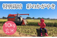 No.481 特別栽培　彩のかがやき　玄米10kg ／ お米 げん米 埼玉県 特産品