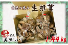 No.468 訳ありでも美味しい！自然の恵み生椎茸1.44kg ／ しいたけ 野菜 煮物 鍋 栄養 埼玉県