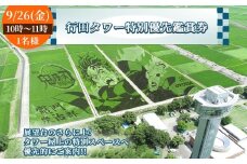 No.494-01 行田タワー特別優先鑑賞券（1名様）【9/26（金）10時～11時】 ／ 古代蓮 田んぼアート 混雑時期限定 特別プログラム 優先的 大迫力 チケット 見学 観光 思い出 お土産 埼玉県