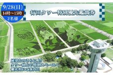 No.495-06 行田タワー特別優先鑑賞券（2名様）【9/28（日）14時～15時】 ／ 古代蓮 田んぼアート 混雑時期限定 特別プログラム 優先的 大迫力 チケット 見学 観光 思い出 お土産 埼玉県