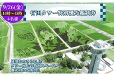No.496-02 行田タワー特別優先鑑賞券（4名様）【9/26（金）14時～15時】 ／ 古代蓮 田んぼアート 混雑時期限定 特別プログラム 優先的 大迫力 チケット 見学 観光 思い出 お土産 埼玉県