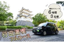 No.493 観光タクシーで行く！6時間行田満喫フルコース（3名様） ／ 行田観光 旅 旅行 トラベル 専用ガイド 観光ガイド ご当地 グルメ ショッピング 特別ツアー 安全 効率がいい スムーズ リラックス 入場料込み 埼玉県