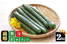 No.216 【約2kg】【高級ブランドきゅうり】秩父きゅうり ／ 野菜 胡瓜 埼玉県 特産