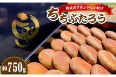 No.221 秩父のブランドしいたけ ちちぶたろう　菌床しいたけ約750g ／ 椎茸 肉厚 埼玉県 特産