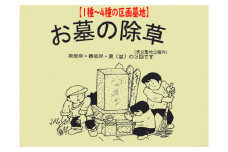 No.241 墓地の除草（秩父聖地公園内の区画墓地） ／ お墓 墓所 清掃 草取り お彼岸 お盆 埼玉県
