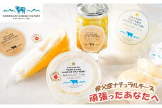 No.258 秩父産ナチュラルチーズ　頑張ったあなたへ ／ リコッタ ルビー スカモルツァ カチョカバロ バジルオイル漬け 詰合せ 埼玉県