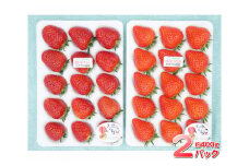 No.260 ただかね農園のおすすめいちご2品種セット　約400g×2パック ／ 果物 フルーツ 苺 イチゴ 埼玉県 特産