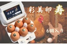 No.267 彩美卵　寿 ／ たまご 埼玉県 特産