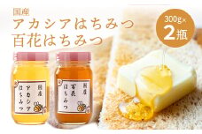 No.294 アカシア・百花はちみつ　各約300g×2個（合計600g） ／ 蜂蜜 ハチミツ 埼玉県 特産