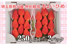 No.384 埼玉県秩父産　特別栽培　やよいひめ　250ｇ以上×2パック ／ いちご イチゴ 苺 フルーツ 埼玉県 特産品