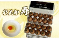No.423 彩美卵　寿　20個 ／ たまご 濃厚 新鮮 埼玉県