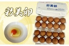 No.425 彩美卵20個 ／ たまご タマゴ 放し飼い飼育 送料無料 埼玉県