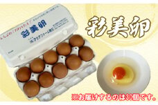 No.428 彩美卵30個 ／ たまご タマゴ 放し飼い飼育 送料無料 埼玉県