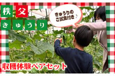 No.500 秩父きゅうり収穫体験ペアセット（ピクルス漬け液付き） ／ ちちぶ丸山農園 体験チケット きゅうり狩り 野菜収穫 ２名 埼玉県