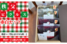 No.501 秩父ピクルス赤白セット ／ ちちぶ丸山農園 秩父きゅうり キュウリ 胡瓜 ブランド野菜 おつまみ ドレッシング 埼玉県
