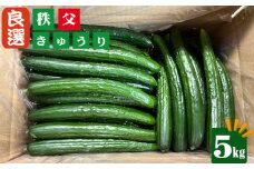 No.503 秩父きゅうり良選5kg ／ ちちぶ丸山農園 キュウリ 胡瓜 ブランド野菜 埼玉県