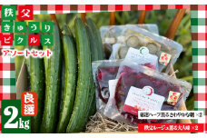 No.504 秩父きゅうり良選（2kg）と秩父ピクルス2種（赤・白各2個）のアソート ／ ちちぶ丸山農園 キュウリ 胡瓜 ブランド野菜 おつまみ ドレッシング 埼玉県