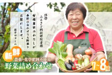 旬の野菜詰め合わせ7種~8種 | 野菜 季節の野菜 旬の野菜 新鮮野菜 産地直送 栽培期間中農薬不使用 有機 オーガニック フレッシュ セット 詰め合わせ サラダ 料理 炒め物 煮物 スムージー 旬 おいしい 安全 安心 お取り寄せ ギフト おすすめ 世界農業遺産 埼玉県 所沢市