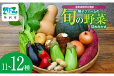 農業遺産認定農家 陽子ファームの旬の野菜詰め合わせ11種~12種 | 野菜 季節の野菜 旬の野菜 新鮮野菜 産地直送 有機 オーガニック フレッシュ セット 詰め合わせ サラダ 料理 炒め物 煮物 スムージー 旬 おいしい 安全 安心 お取り寄せ ギフト おすすめ 世界農業遺産 埼玉県 所沢市
