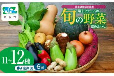 ＜6ヵ月定期便＞農業遺産認定農家 陽子ファームの旬の野菜詰め合わせ11種~12種 | 野菜 季節の野菜 旬の野菜 新鮮野菜 産地直送 有機 オーガニック 定期便 フレッシュ セット 詰め合わせ サラダ 料理 炒め物 煮物 スムージー 旬 おいしい 安全 安心 お取り寄せ ギフト おすすめ 世界農業遺産 埼玉県 所沢市
