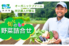 オーガニックファーム所沢農人の旬の野菜詰め合わせ(7～8種) | 野菜 野菜詰合せ 野菜セット 詰め合わせ 詰合せ セット  おいしい おすすめ プレゼント ギフト お取り寄せ  埼玉県 所沢市