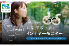 カナルワークス ユニバーサルIEM CW-U12aEX | イヤホン インイヤーモニター IEM ユニバーサルIEM ハンドメイド 音楽鑑賞 オーディオ ミュージシャン エンジニア 音響 モニタリング プロ仕様 ポップス ロック アニソン クラシックジャズ 埼玉県 所沢市