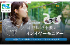 カナルワークス ユニバーサルIEM CW-U17QD | イヤホン インイヤーモニター IEM ユニバーサルIEM ハンドメイド 音楽鑑賞 オーディオ ミュージシャン エンジニア 音響 モニタリング プロ仕様 ポップス ロック アニソン クラシックジャズ 埼玉県 所沢市