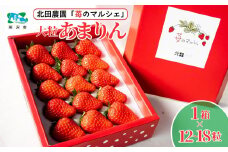 ＜先行予約/数量限定＞苺マルシェ 大粒あまりん 1箱 (12～18粒)  | 苺 いちご ストロベリー あまりん 甘い 濃厚 おいしい ジューシー 果物 フルーツ 産地直送 フレッシュ 人気 おすすめ デザート お取り寄せ 贈り物  埼玉県 所沢市