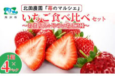 ＜先行予約/数量限定＞ 苺マルシェ 旬のいちご食べ比べセット 1箱(4パック入り) 所沢北田農園 | 苺 いちご ストロベリー あまりん かおりん べにたま あきひめ 甘い 濃厚 おいしい ジューシー 果物 フルーツ 産地直送 フレッシュ 人気 おすすめ デザート お取り寄せ 贈り物 高級 埼玉県 所沢市