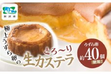 生カステラ 極上うずら卵のとろ～り生カステラ 1箱 | 生カステラ カステラ 卵 うずら うずらの卵 濃厚 クリーミー スイーツ お菓子 焼き菓子 洋菓子 和菓子 デザート おいしい おすすめ お土産 ギフト 贈答品 うずら屋 埼玉県 所沢市