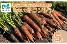 Farm Prideが育てた採れたての絶品！冬ニンジン 彩誉(あやほまれ) 5kg | 人参 にんじん ニンジン キャロット あやほまれ 野菜 緑黄色野菜 サラダ マリネ スムージー スティック 料理 煮物 カレー シチュー ジュース カロテン ビタミン 産地直送 おいしい おすすめ  新鮮 フレッシュ 埼玉県 所沢市