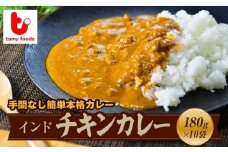 インド チキンカレー 180g×10袋 | チキンカレー チキン カレー インドカレー スパイス スパイスカレー 鶏 鶏肉 冷凍カレー エスニック 本格的 保存食 常備食 ギフト 自宅用 おいしい おすすめ タミー食品 埼玉県 所沢市