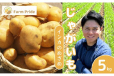 Farm Prideが育てた じゃがいも インカのめざめ 5kg | じゃがいも インカのめざめ 野菜 料理 素揚げ ポテトチップス 産地直送 株式会社farmpride 埼玉県 所沢市